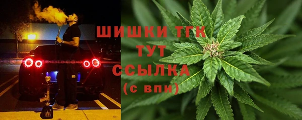 прущий лед Козловка