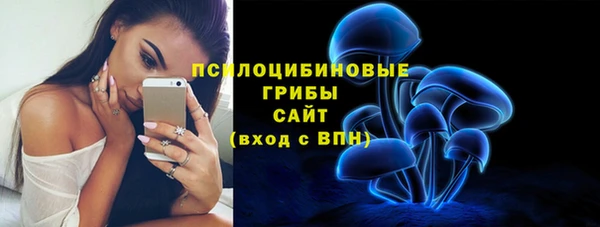 спайс Кодинск