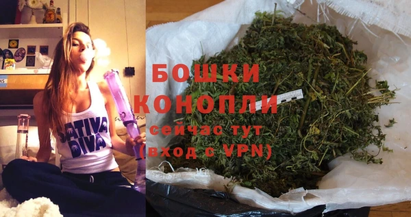 спайс Корсаков