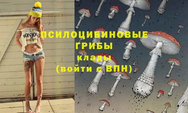 прущий лед Костерёво
