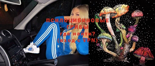 прущий лед Костерёво