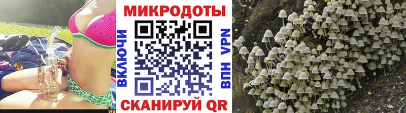 Псилоцибиновые грибы мухоморы  закладки  Облучье 